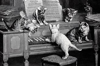 Cat fugue, five young cats playing on the piano, after a painting by C. Reichert, illustration from