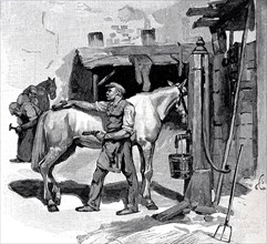 Groom and farrier of the Berlin cabmen, Germany, in 1895, Historical, digital reproduction of an