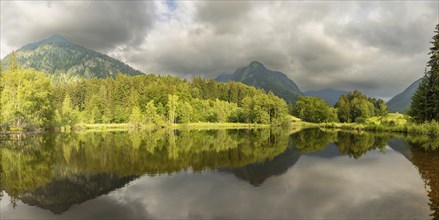 Water reflection in the moor pond, behind it Schattenberg and Riefenkopf, near Oberstdorf,