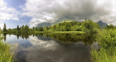 Water reflection in the moor pond, behind it the Schattenberg, near Oberstdorf, Oberallgäu, Allgäu,