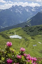 Alpine rose blossom, panorama from the Fellhorn over the Schlappoldsee and mountain station of the