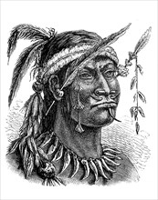 Indians, here a man from the Foregnaje tribe, America, Illustration from 1880, Historical,