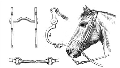 Curb bit, bridle, horse bridle, illustration from 1880, historical, digital reproduction of an