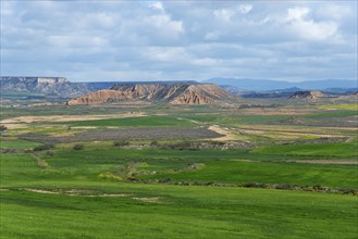 Extensive green fields and hilly landscape under a cloudy sky, Bardenas Reales Natural Park,