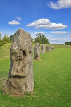 Avebury Neolithic Stone Circle, Wiltshire, England, United Kingdom, Europe