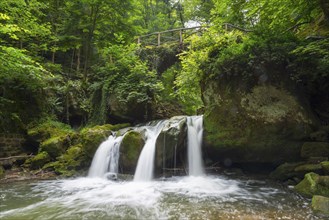 Small waterfall with a wooden bridge and moss-covered rocks in a lush forest, Schiessentümpel