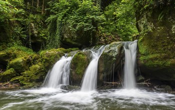 Small waterfall in the middle of a dense green forest and moss-covered rocks, Schiessentümpel