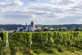 Proschwitz Castle is a castle in the neo-baroque style in the Meissen district of Proschwitz in the