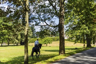 Rider at the Fasanenschlösschen The Fasanenschlösschen is a castle complex in the municipality of