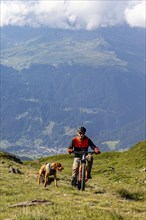 Mountain biker with traildog, man with Vizsla dog on a bike trail, Pischa, Hüreli above Davos,