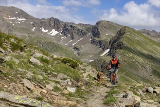 Mountain biker with traildog, man with Vizsla dog on a bike trail, Pischa, Flüela Pass, Grisons,