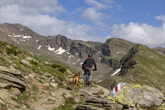 Mountain biker with traildog, man with Vizsla dog on a bike trail, Pischa, Flüela Pass, Grisons,