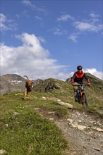 Mountain biker with traildog, man with Vizsla dog on a bike trail, Pischa, Flüela Pass, Grisons,