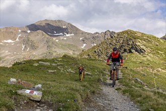 Mountain biker with traildog, man with Vizsla dog on a bike trail, Pischa, Flüela Pass, Grisons,