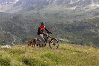 Mountain biker with traildog, man with Vizsla dog on a bike trail, Pischa, Flüela Pass, Grisons,