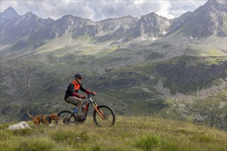 Mountain biker with traildog, man with Vizsla dog on a bike trail, Pischa, Flüela Pass, Grisons,