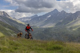 Mountain biker with traildog, man with Vizsla dog on a bike trail, Pischa, Flüela Pass, Grisons,