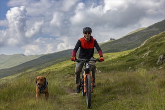 Mountain biker with traildog, man with Vizsla dog on a bike trail, Pischa, Flüela Pass, Grisons,