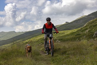 Mountain biker with traildog, man with Vizsla dog on a bike trail, Pischa, Flüela Pass, Grisons,