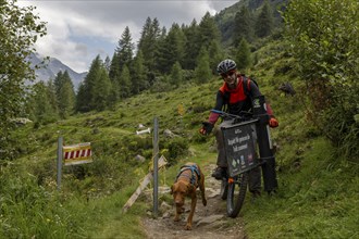 Mountain biker with traildog, man with Vizsla dog on a bike trail, Pischa, Flüela Pass, Grisons,