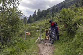 Mountain biker with traildog, man with Vizsla dog on a bike trail, Pischa, Flüela Pass, Grisons,