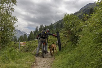 Mountain biker with traildog, man with Vizsla dog on a bike trail, Pischa, Flüela Pass, Grisons,