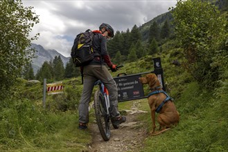 Mountain biker with traildog, man with Vizsla dog on a bike trail, Pischa, Flüela Pass, Grisons,