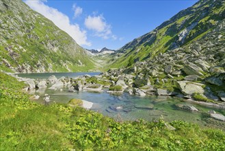 Dorfer See in the background the Kalser Tauern, mountain lake, blue sky, Dorfertal, Hohe Tauern