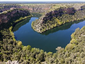 A deep gorge with a calm river surrounded by lush vegetation and trees under a clear sky, aerial