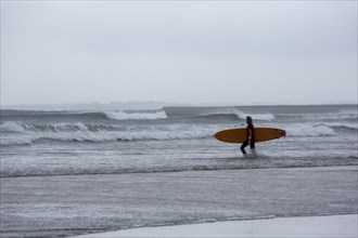 A surfer enters the sea with a surfboard in hand on a gusty day along the Atlantic coast.