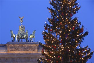 Berlin, 05.12.2010, Decorated Christmas tree at the Brandenburg Tor, Berlin, Germany, Europe