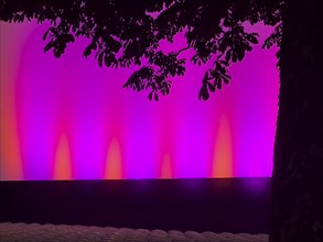 A tree in front of a purple and pink illuminated stage with shadows and foliage in the evening mood