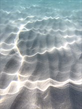 Rays of light refracting in the water, creating a beautiful pattern on the sandy bottom