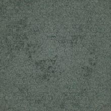 A rough, textured, and monochromatic surface in a grayish green color