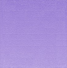 A textured purple background with a rough surface and minimalist design