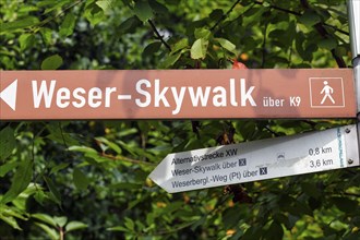 Direction sign, hiking trail to the Weser Skywalk, lettering, pictogram hiker, Weserbergland, Bad