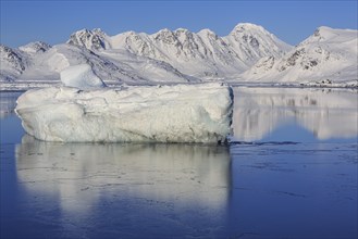 Icebergs in fjord in front of snowy mountains, sunny, winter, Arctic, Kulusuk, East Greenland,