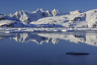 Icebergs in fjord in front of snowy mountains, sunny, winter, Arctic, Kulusuk, East Greenland,