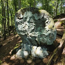 Honeycomb weathering in Luxembourg sandstone, Teuflische Acht hiking trail, Naturpark Südeifel,