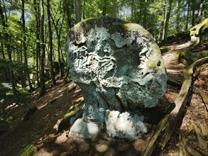 Honeycomb weathering in Luxembourg sandstone, Teuflische Acht hiking trail, Naturpark Südeifel,