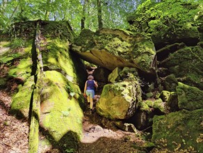 Devil's Eight hiking trail, Devil's Gorge, Ferschweiler Plateau, Southern Eifel nature park Park,