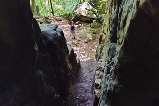 View from a crevice onto the Teuflische Acht hiking trail, Naturpark Südeifel, Irrel, Eifel,