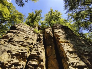 View along the Teuflische Acht hiking trail, Ferschweiler Plateau, Naturpark Südeifel, Irrel,