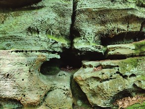 Weathering, Luxembourg sandstone, detail, Devil's Eight hiking trail, Southern Eifel nature park