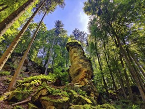 Rock tower on the Teuflische Acht hiking trail, Ferschweiler Plateau, Naturpark Südeifel, Irrel,