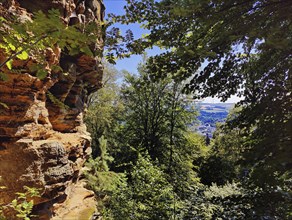 Hiking trail Teuflische Acht, view at the edge of the Ferschweiler plateau, Naturpark Südeifel,