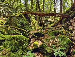 Bizarre red sandstone rock landscapes in the Sauerschweiz, Southern Eifel nature park Park, hiking