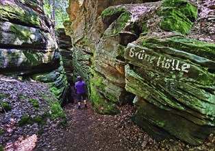 The Grüne Hölle gorge, hiking trail in the red sandstone in the Sauerschweiz, Southern Eifel nature