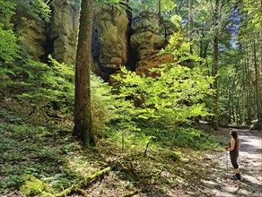 Bizarre red sandstone rock landscapes in the Sauerschweiz, Southern Eifel nature park Park, hiking