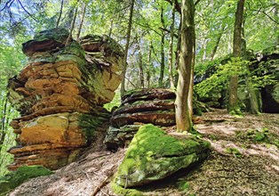 Bizarre red sandstone rock landscapes in the Sauerschweiz, Southern Eifel nature park Park, hiking